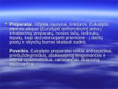 Australijos gyvūnija ir augalija 5 puslapis