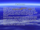 Australijos gyvūnija ir augalija 7 puslapis