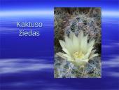 Australijos gyvūnija ir augalija 8 puslapis