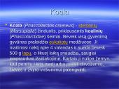 Australijos gyvūnija ir augalija 9 puslapis