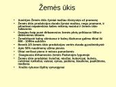 Bendrosios žinios apie Austriją 20 puslapis
