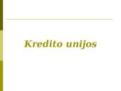 Bankų ir kredito unijų veikla 2 puslapis