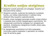 Bankų ir kredito unijų veikla 11 puslapis
