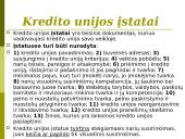Bankų ir kredito unijų veikla 12 puslapis