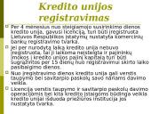 Bankų ir kredito unijų veikla 13 puslapis