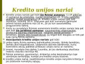 Bankų ir kredito unijų veikla 14 puslapis