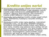 Bankų ir kredito unijų veikla 15 puslapis