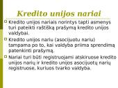 Bankų ir kredito unijų veikla 16 puslapis