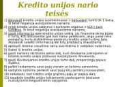 Bankų ir kredito unijų veikla 17 puslapis