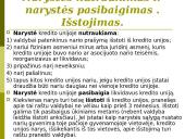 Bankų ir kredito unijų veikla 19 puslapis