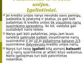 Bankų ir kredito unijų veikla 20 puslapis