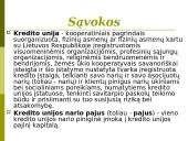 Bankų ir kredito unijų veikla 4 puslapis