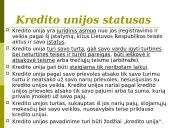 Bankų ir kredito unijų veikla 7 puslapis