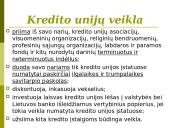 Bankų ir kredito unijų veikla 8 puslapis