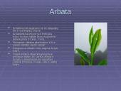 Bioprodukcinis ūkis bei jo svarba 11 puslapis