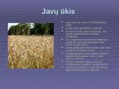 Bioprodukcinis ūkis bei jo svarba 13 puslapis