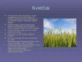 Bioprodukcinis ūkis bei jo svarba 14 puslapis