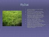 Bioprodukcinis ūkis bei jo svarba 15 puslapis