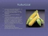 Bioprodukcinis ūkis bei jo svarba 16 puslapis