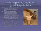 Bioprodukcinis ūkis bei jo svarba 18 puslapis