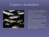 Bioprodukcinis ūkis bei jo svarba 19 puslapis