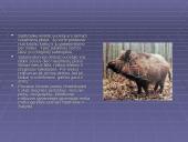 Bioprodukcinis ūkis bei jo svarba 4 puslapis