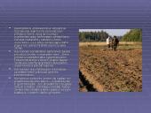 Bioprodukcinis ūkis bei jo svarba 6 puslapis