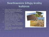 Bioprodukcinis ūkis bei jo svarba 8 puslapis