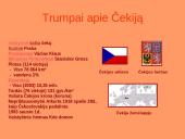 Čekija ir Praha 3 puslapis