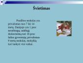 Danijos ypatybės 11 puslapis