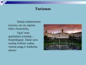 Danijos ypatybės 13 puslapis