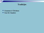 Danijos ypatybės 15 puslapis