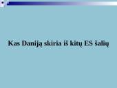 Danijos ypatybės 17 puslapis