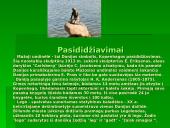 Danija - Šiaurės Europos šalis 8 puslapis