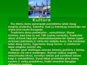 Danija - Šiaurės Europos šalis 9 puslapis