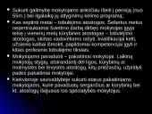 Darbo partijos + Jaunimas ir Tėvynės Sąjungos švietimo programų palyginimas 17 puslapis