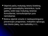Darbo partijos + Jaunimas ir Tėvynės Sąjungos švietimo programų palyginimas 19 puslapis