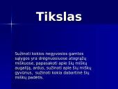 Drėgnieji atogrąžų miškai 2 puslapis