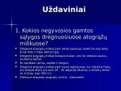 Drėgnieji atogrąžų miškai 3 puslapis