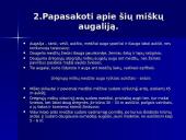 Drėgnieji atogrąžų miškai 5 puslapis