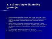 Drėgnieji atogrąžų miškai 7 puslapis