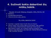 Drėgnieji atogrąžų miškai 8 puslapis