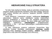 Duomenų atvaizdavimas 7 puslapis