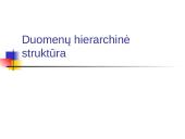 Duomenų hierarchinė struktūra