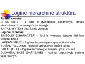 Duomenų hierarchinė struktūra 2 puslapis