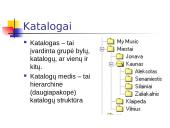 Duomenų hierarchinė struktūra 5 puslapis