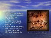 Egipto faraonai ir karalienės 13 puslapis