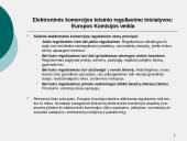 Elektroninės komercijos samprata, ypatumai, modeliai. Elektroninės komercijos teisinio reguliavimo iniciatyvos. UNCITRAL elektr 16 puslapis