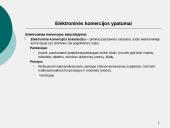 Elektroninės komercijos samprata, ypatumai, modeliai. Elektroninės komercijos teisinio reguliavimo iniciatyvos. UNCITRAL elektr 6 puslapis
