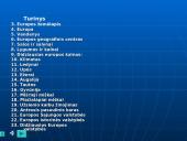 Europos ypatybės 2 puslapis